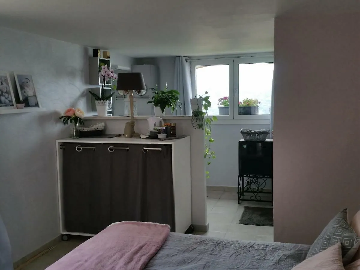 La Tuiliere Appartement Saint-Laurent-du-Var 0*,